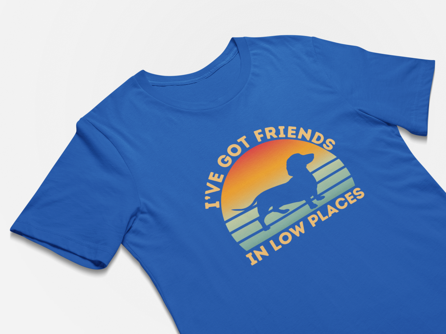 Funny Gift for Dachshund Lover Dachshund Mom Wiener Dog Shirt Gift I've Got Friends In Low Places