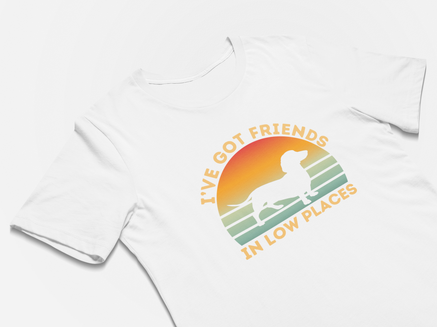 Funny Gift for Dachshund Lover Dachshund Mom Wiener Dog Shirt Gift I've Got Friends In Low Places
